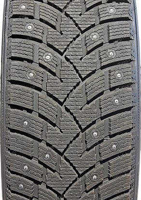 Pace Antarctica Sport