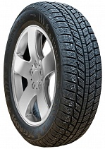 RoadX RXFrost WH01