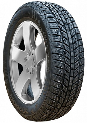 RoadX RXFrost WH01
