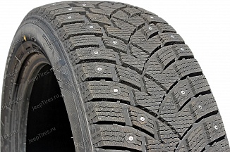 Pace Antarctica Sport