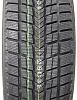 Roadstone Winguard Ice