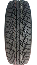 DoubleKing DK309