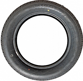 Arivo WinMaster Prox ARW3 235/55 R19 105H 16050926466
